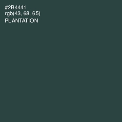 #2B4441 - Plantation Color Image