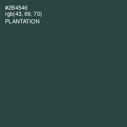 #2B4546 - Plantation Color Image