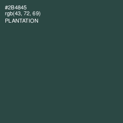 #2B4845 - Plantation Color Image