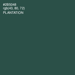 #2B5048 - Plantation Color Image