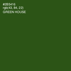 #2B5416 - Green House Color Image