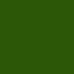 #2B5707 - Green House Color Image