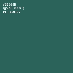 #2B635B - Killarney Color Image