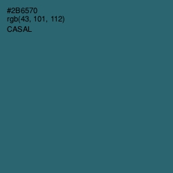 #2B6570 - Casal Color Image