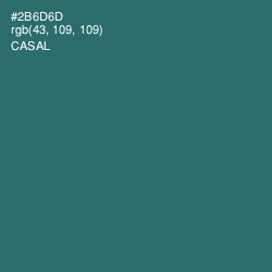 #2B6D6D - Casal Color Image