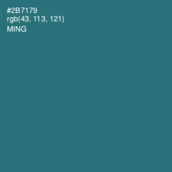 #2B7179 - Ming Color Image