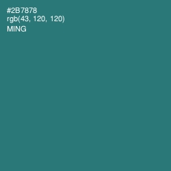 #2B7878 - Ming Color Image