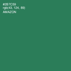 #2B7C59 - Amazon Color Image