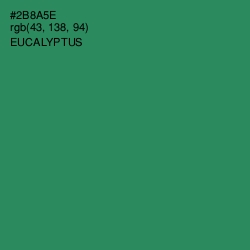 #2B8A5E - Eucalyptus Color Image