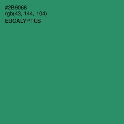 #2B9068 - Eucalyptus Color Image