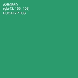 #2B9B6D - Eucalyptus Color Image