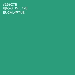 #2B9D7B - Eucalyptus Color Image
