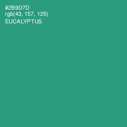 #2B9D7D - Eucalyptus Color Image