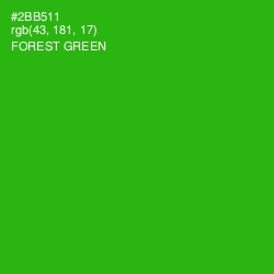 #2BB511 - Forest Green Color Image