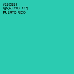 #2BCBB1 - Puerto Rico Color Image