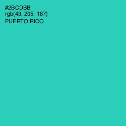 #2BCDBB - Puerto Rico Color Image