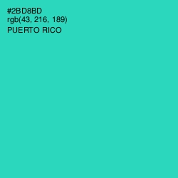 #2BD8BD - Puerto Rico Color Image