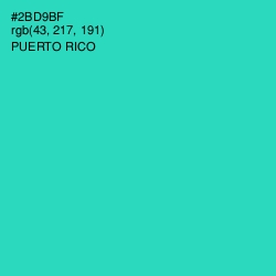 #2BD9BF - Puerto Rico Color Image