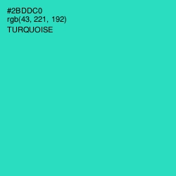 #2BDDC0 - Turquoise Color Image