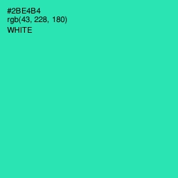 #2BE4B4 - Shamrock Color Image