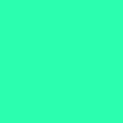 #2BFEAE - Shamrock Color Image
