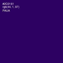 #2C0161 - Paua Color Image