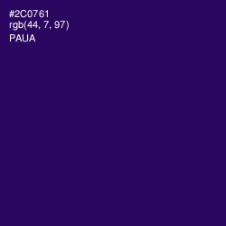 #2C0761 - Paua Color Image
