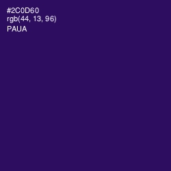 #2C0D60 - Paua Color Image