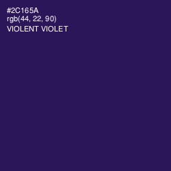 #2C165A - Violent Violet Color Image