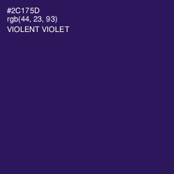 #2C175D - Violent Violet Color Image