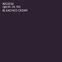 #2C2232 - Bleached Cedar Color Image
