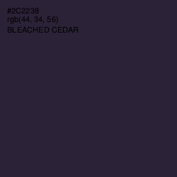 #2C2238 - Bleached Cedar Color Image