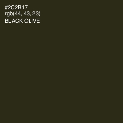 #2C2B17 - Black Olive Color Image