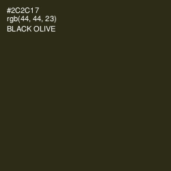 #2C2C17 - Black Olive Color Image