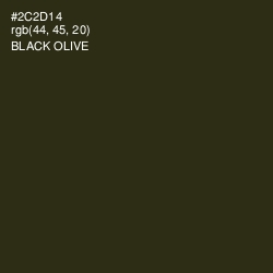 #2C2D14 - Black Olive Color Image