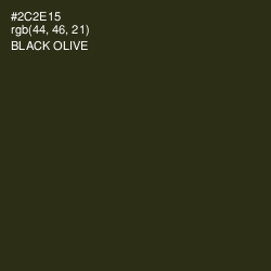 #2C2E15 - Black Olive Color Image