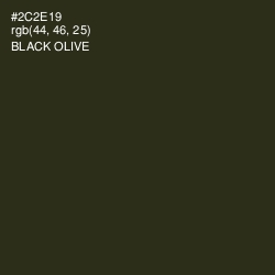 #2C2E19 - Black Olive Color Image