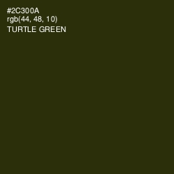 #2C300A - Turtle Green Color Image
