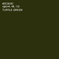 #2C300C - Turtle Green Color Image