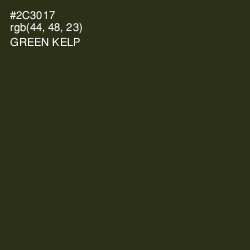 #2C3017 - Green Kelp Color Image