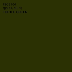 #2C3104 - Turtle Green Color Image