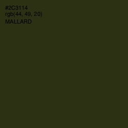 #2C3114 - Mallard Color Image