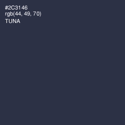 #2C3146 - Tuna Color Image