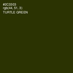 #2C3303 - Turtle Green Color Image