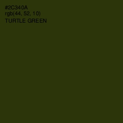 #2C340A - Turtle Green Color Image