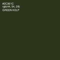 #2C361C - Green Kelp Color Image