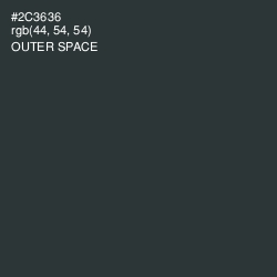 #2C3636 - Outer Space Color Image