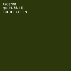 #2C370B - Turtle Green Color Image