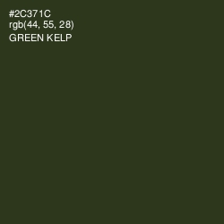 #2C371C - Green Kelp Color Image