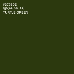#2C380E - Turtle Green Color Image